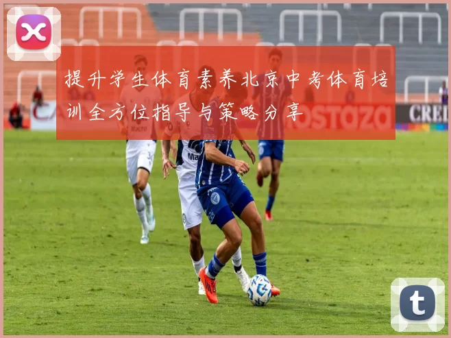 提升学生体育素养北京中考体育培训全方位指导与策略分享
